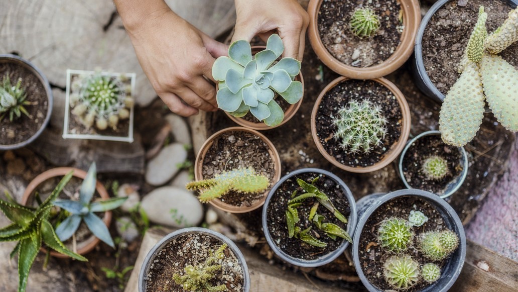 Natural selection: the investment case for addressing biodiversity loss