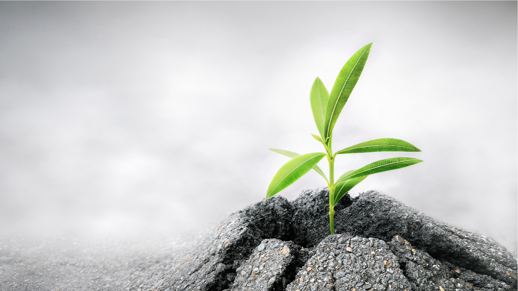 Private Equity Returns to its Roots