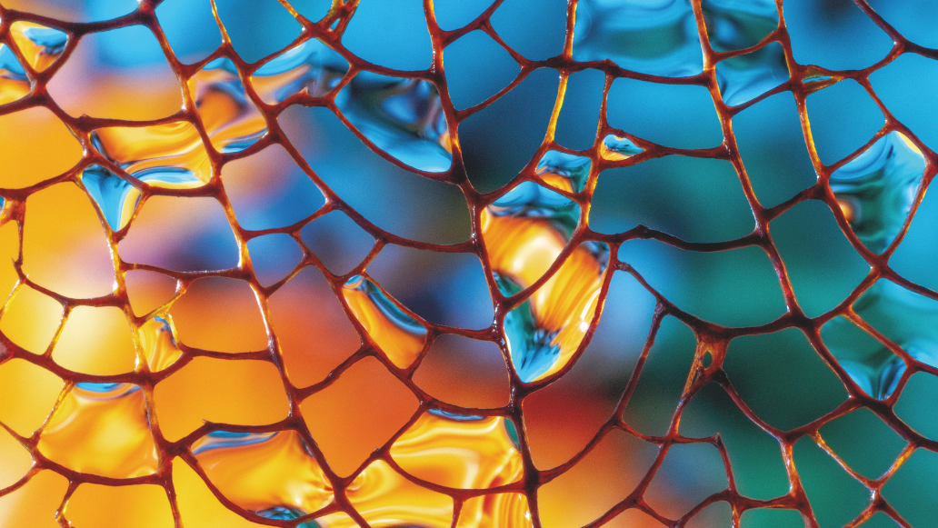 A Lens on the Transition: Financials